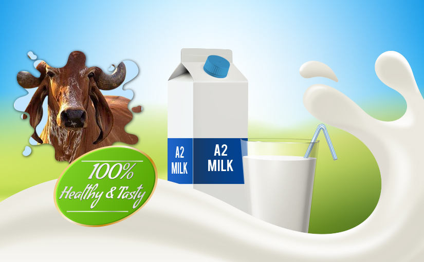 How Does Desi Cow Milk Benefits Us Dollon S