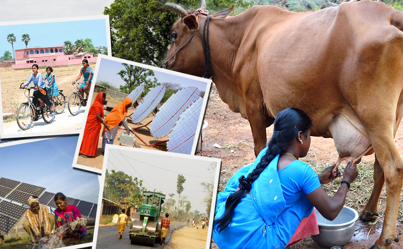 How Milk Production Is Helping In Improving Rural India Dollons 1708